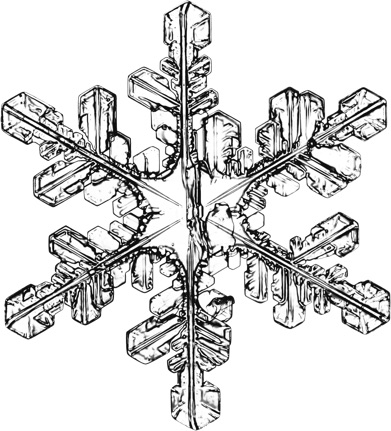 snowflake